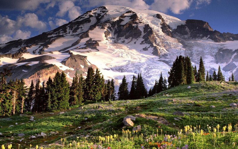 Mountain with Snow and Flowers