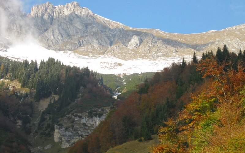 Mountain with Snow and Forest — Blue