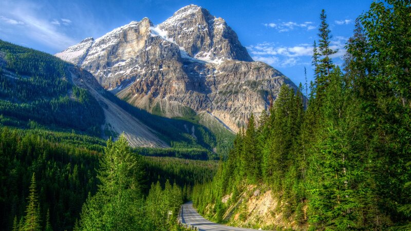 Mountain with Snow and Forest — Green