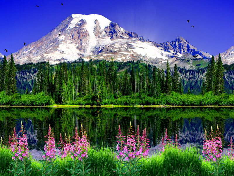 Mountain with Snow and Lake