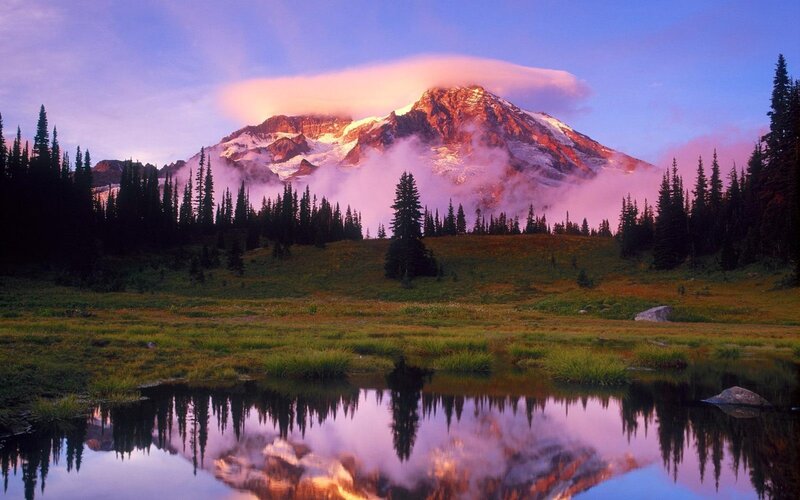 Mountain with Snow and Trees — Purple