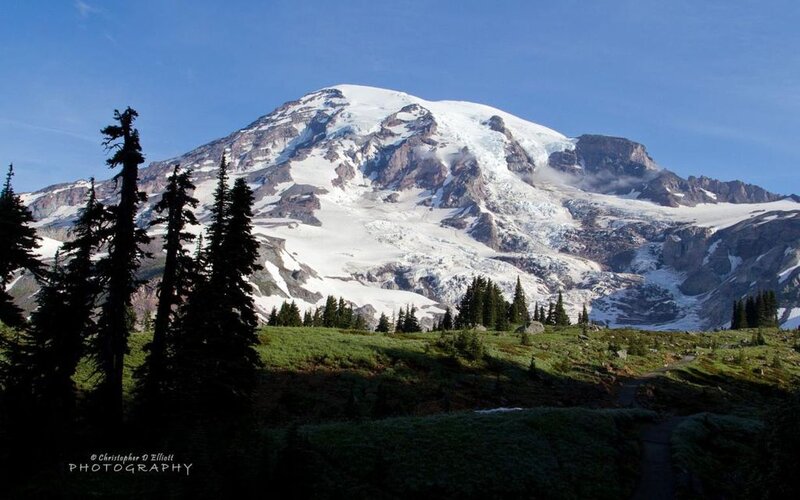 Mountain with Snow and Trees