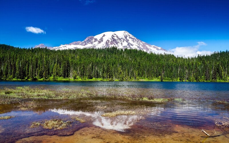 Mountain with Snow Cap — Blue, Serene, Afternoon, Photograph, Forest, Lake