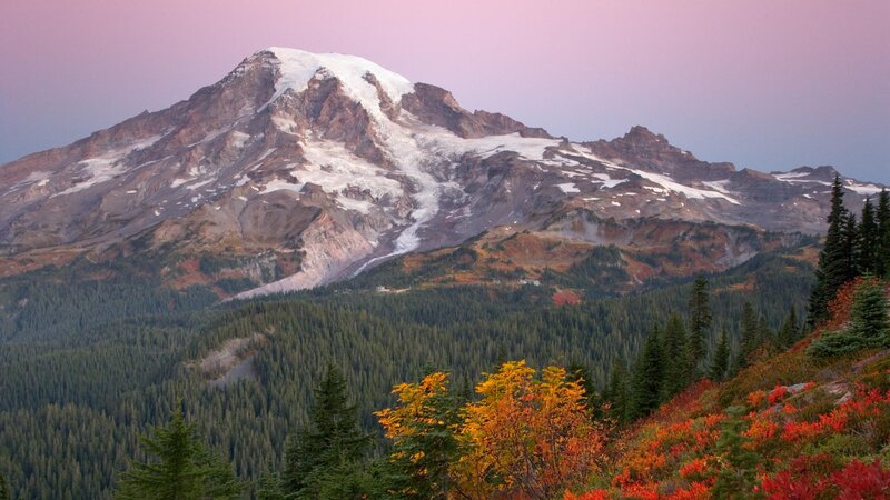 Mountain with Snow Cap — Purple