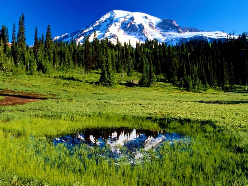 Mountain with Snow Cap