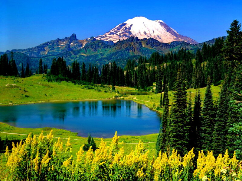 Mountain with Snow-capped Peak — Blue, Serene, Summer