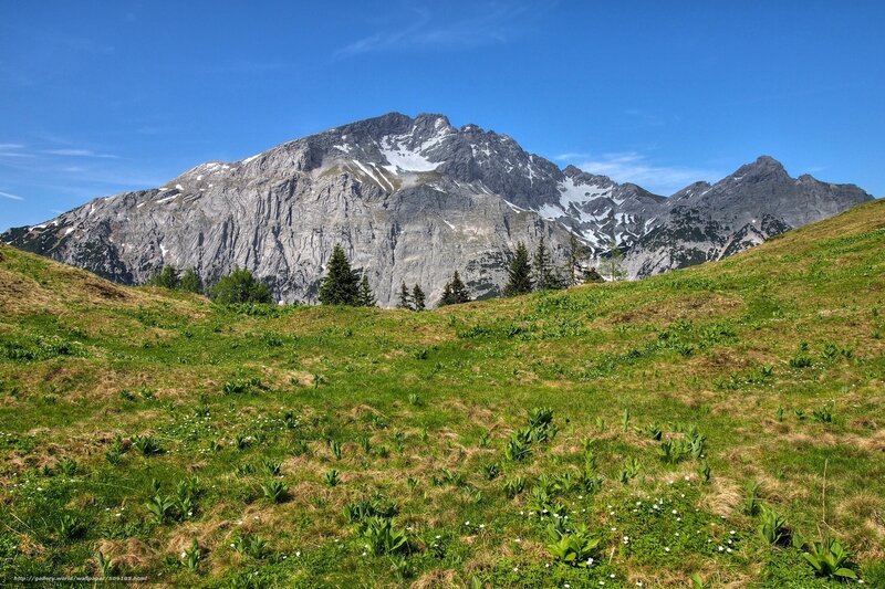 Mountain with Snow — Green, Serene
