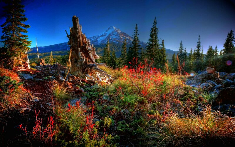 Mountain with Snow Peak