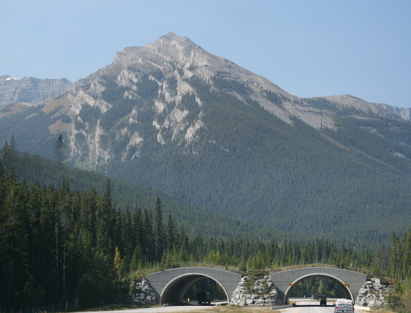 Mountain with Tunnels