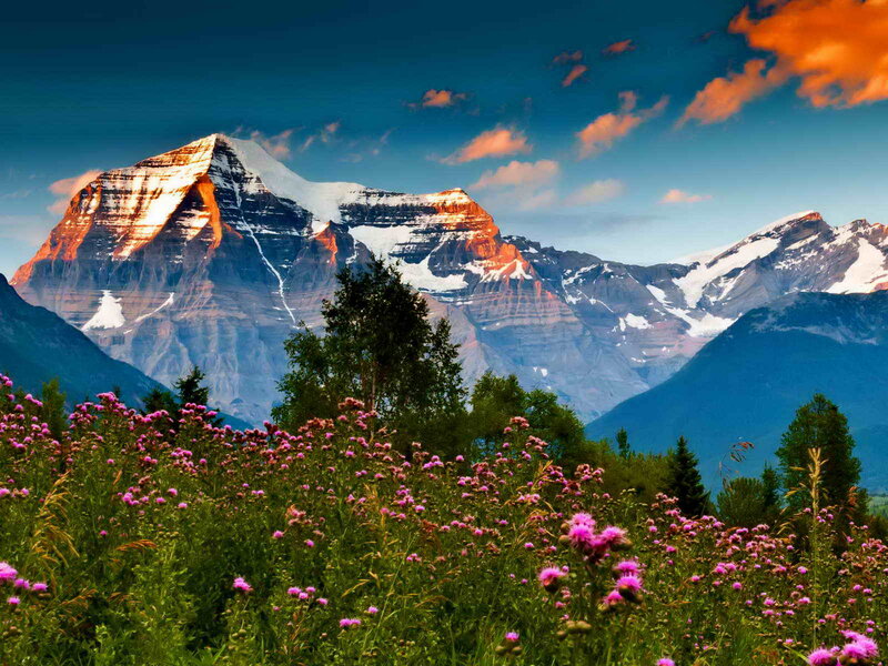 Mountain with Wildflowers — Blue, Serene, Sunrise