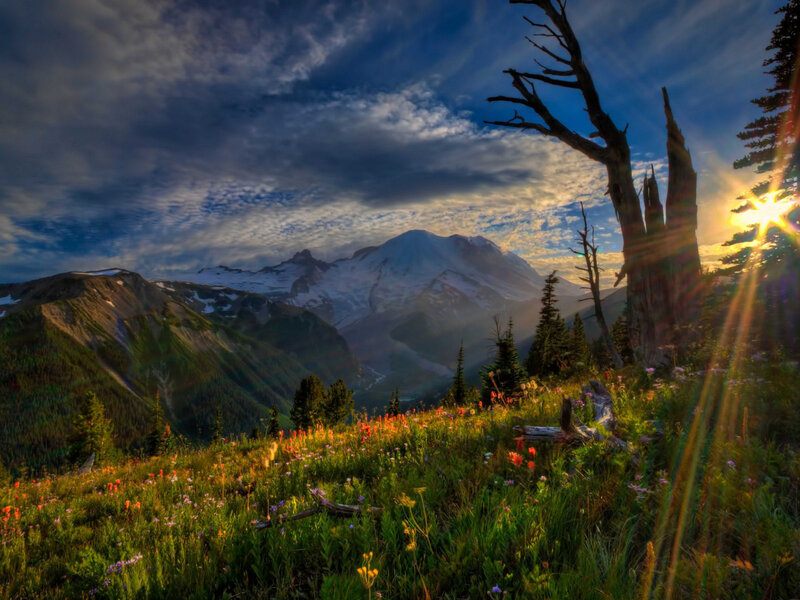 Mountain with Wildflowers — Green, Dramatic, Sunrise