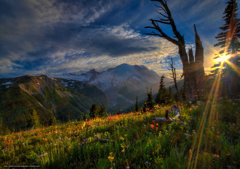Mountain with Wildflowers — Green, Dramatic, Sunset, Photograph, Snow-capped Mountain