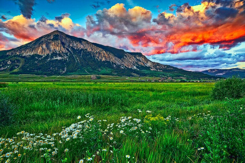 Mountain with Wildflowers — Green, Dramatic, Sunset