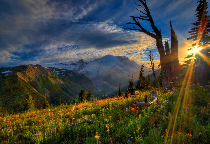 Mountain with Wildflowers — Green, Dramatic