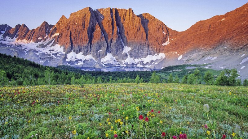 Mountain with Wildflowers — Green, Serene, Sunset