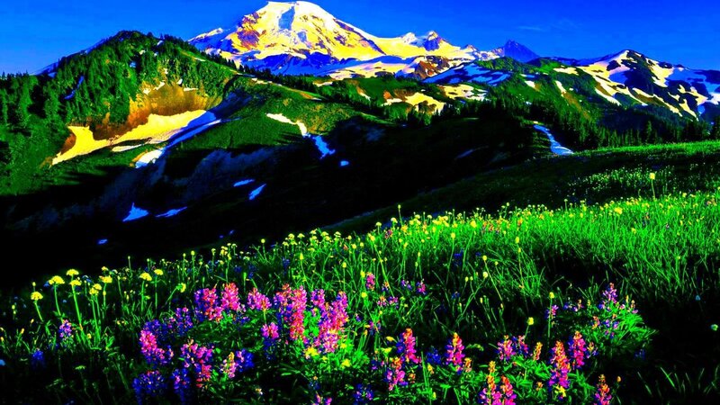 Mountain with Wildflowers — Green, Vibrant