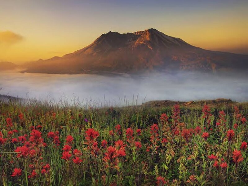 Mountain with Wildflowers — Red