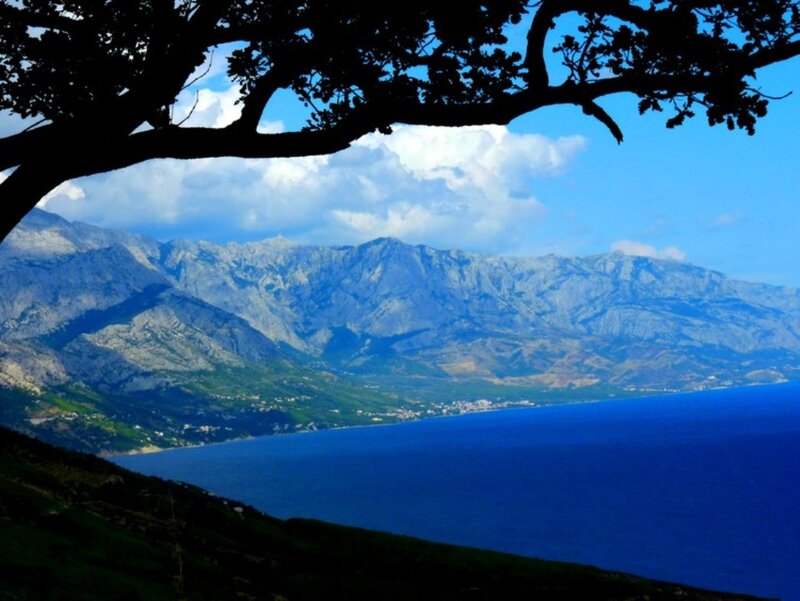 Mountainous Coastline — Blue, Serene, Afternoon, Photograph, Tree