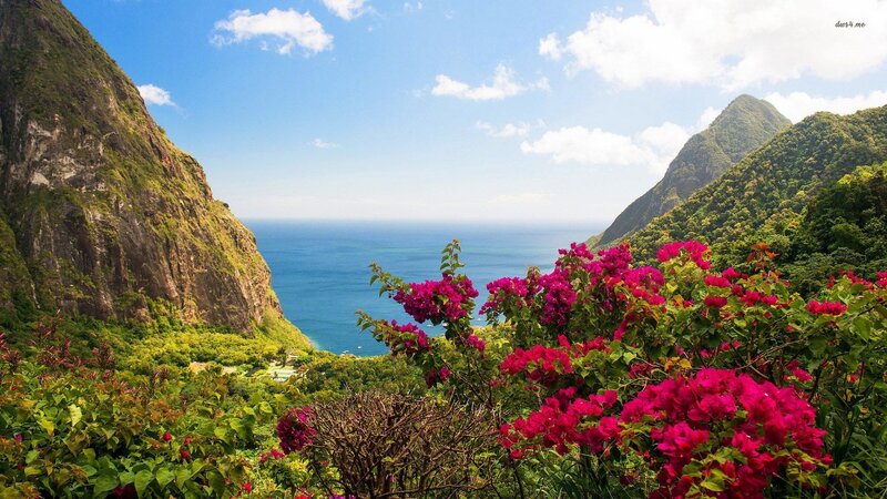 Mountainous Coastline with Flowers