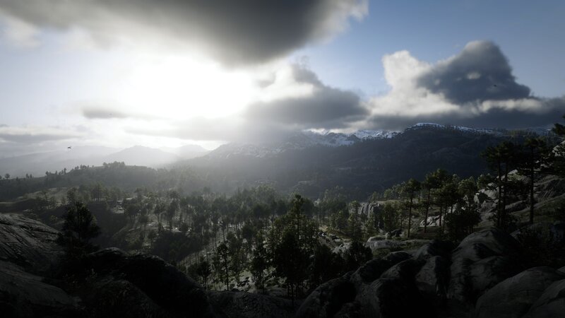 Mountainous Forest Landscape — Green, Dramatic, Morning