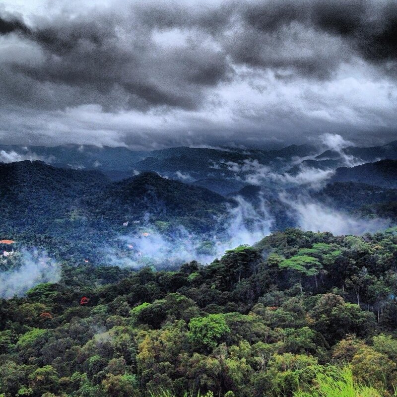 Mountainous Forest Landscape — Green, Dramatic, Photograph