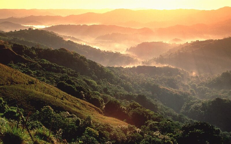 Mountainous Forest Landscape — Orange