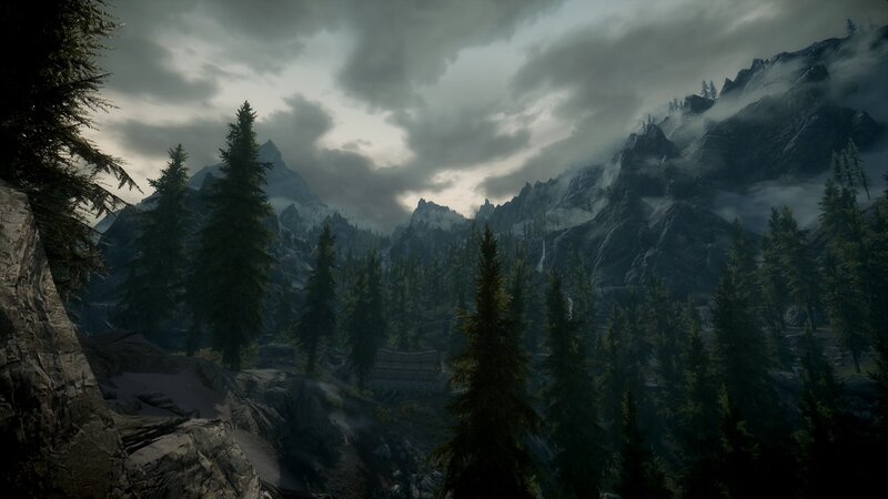 mountainous forest landscape