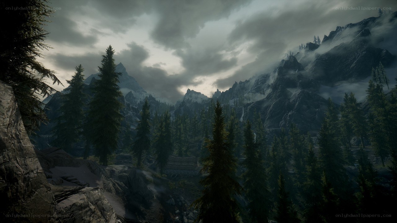 mountainous forest landscape