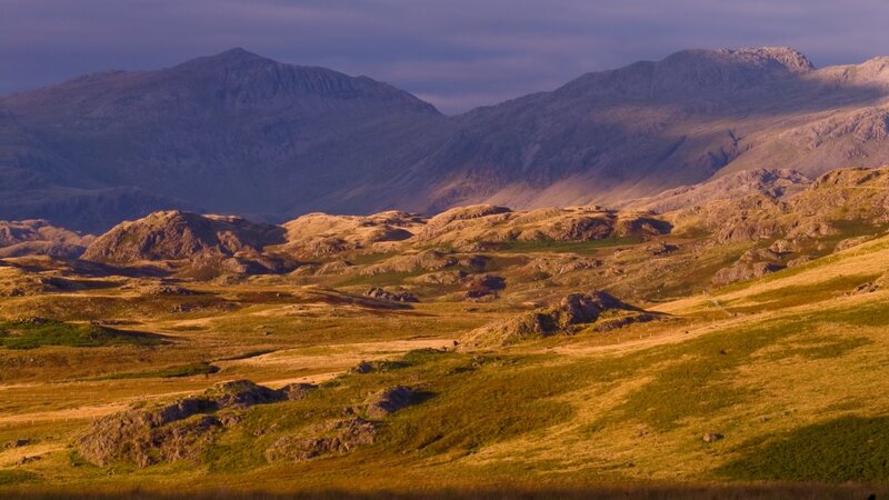 Mountainous Landscape — Brown, Serene