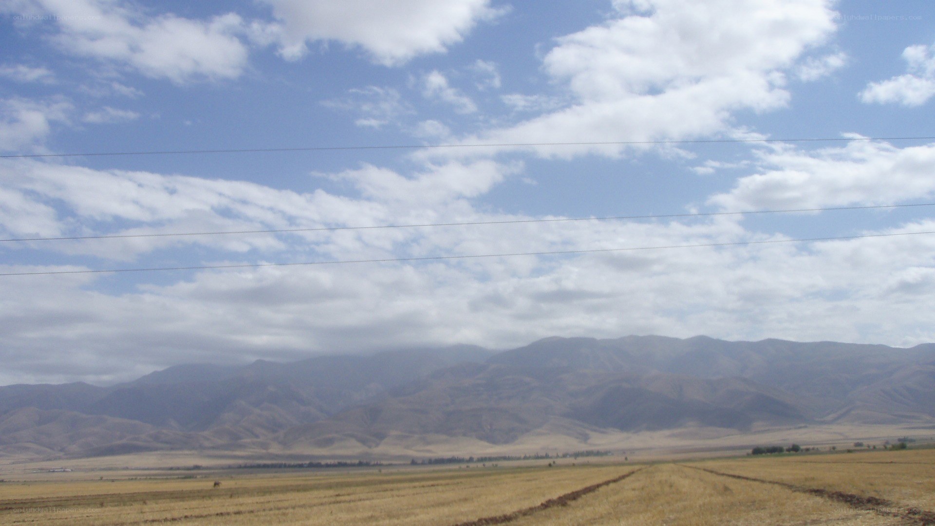 mountainous landscape with fields