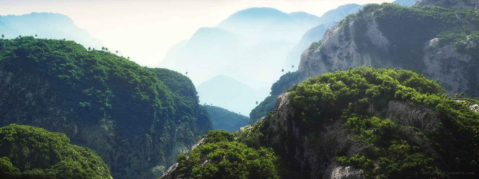 mountainous landscape with fog