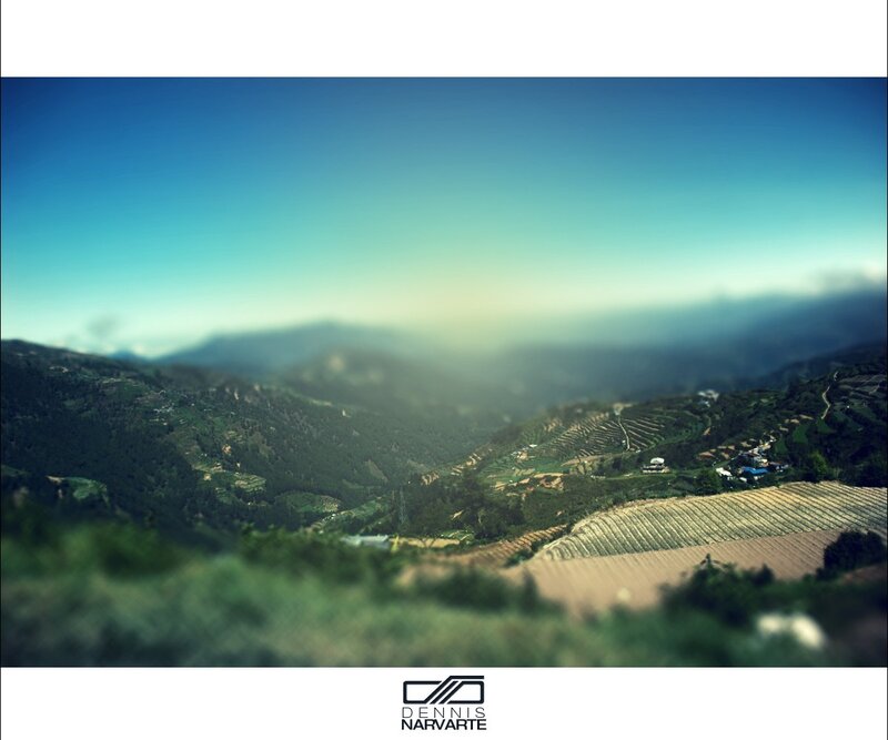 Mountainous Valley Landscape — Green, Serene, Morning, Photograph