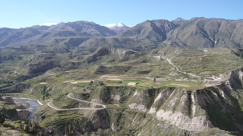 mountainous valley with terraced fields