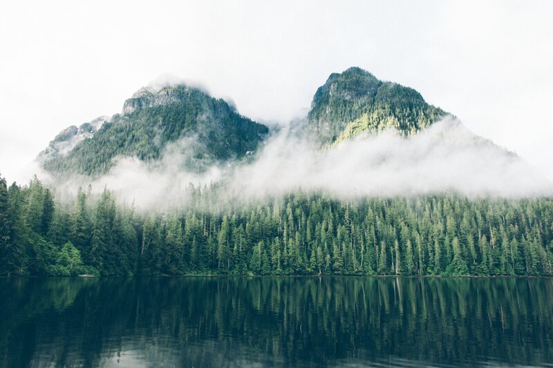 Mountains and Lake — Green
