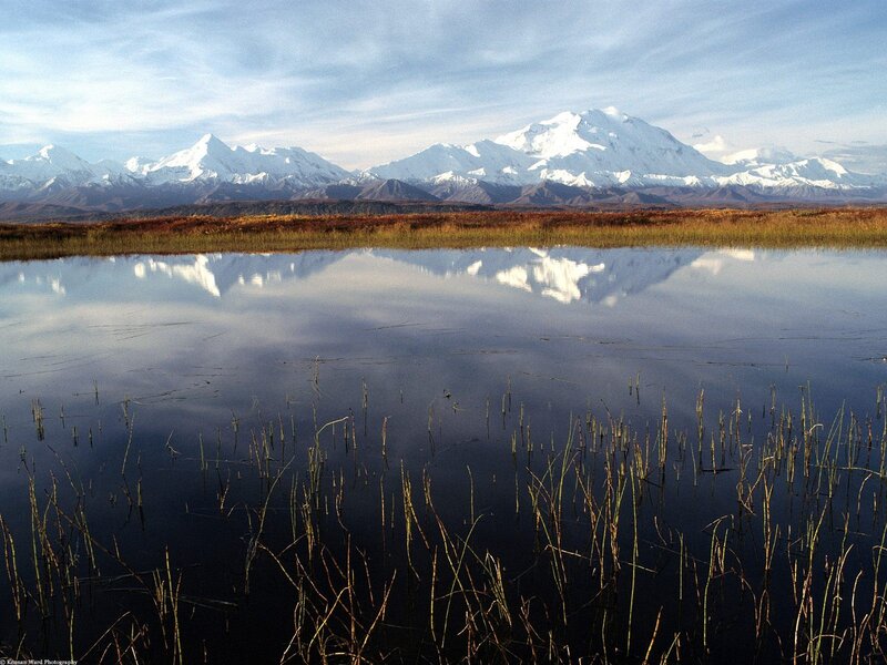 Mountains reflected in a marsh