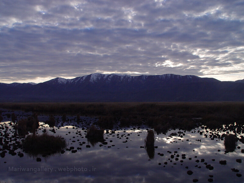 mountains reflected in wetlands