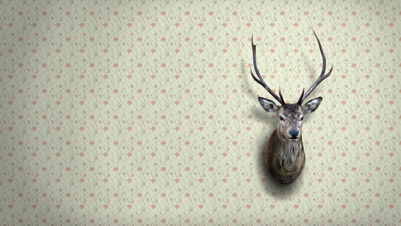 Mounted Deer Head — Beige