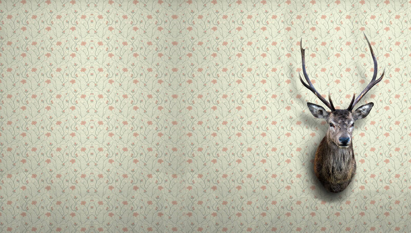 Mounted Deer Head