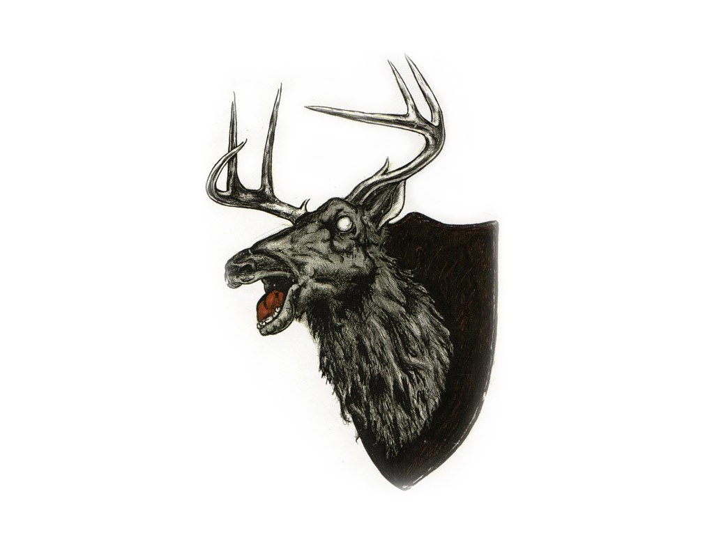 mounted elk head trophy
