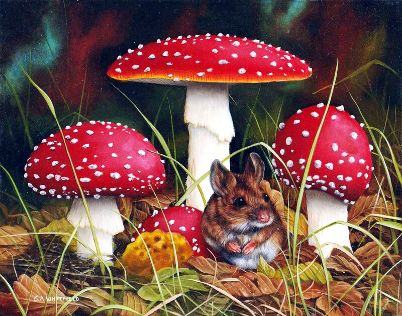 Mouse Among Mushrooms — Red, Serene