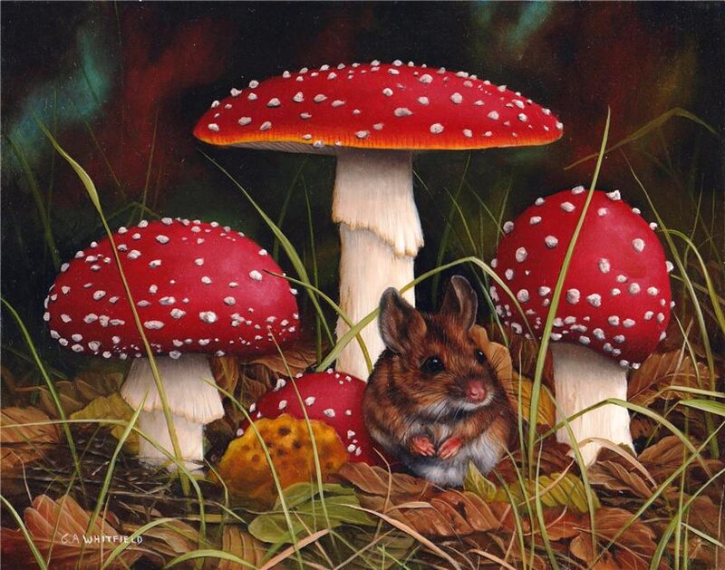 Mouse Among Mushrooms