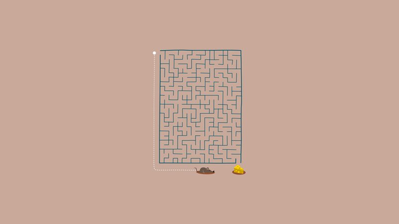 Mouse and Cheese in Maze