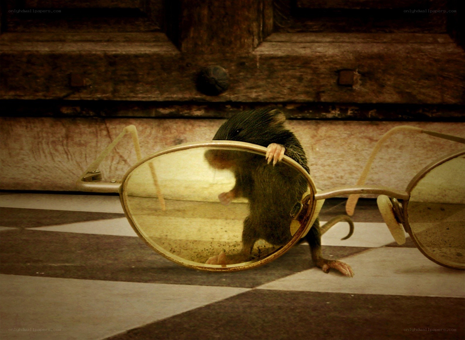 mouse behind glasses