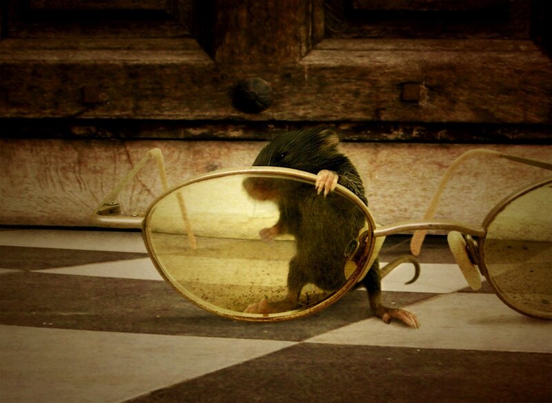 Mouse Behind Glasses — Brown
