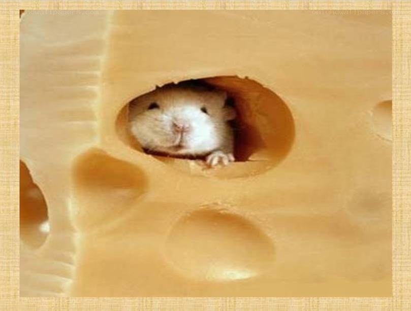 mouse in cheese hole