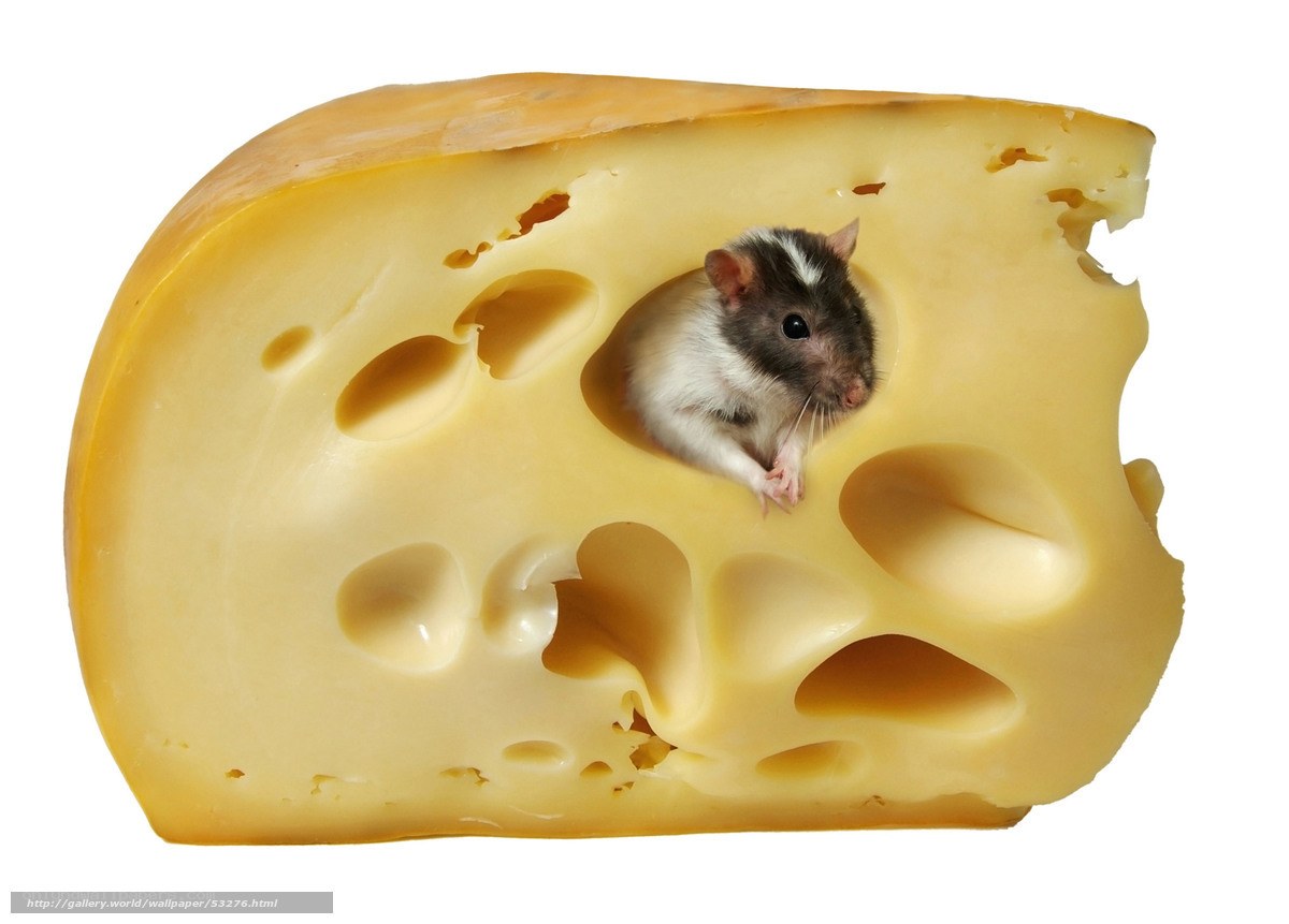 mouse in cheese hole