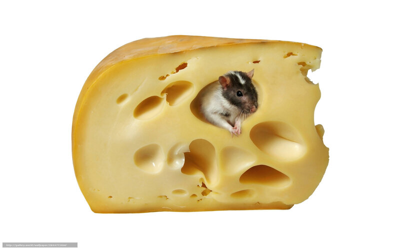 Mouse in Cheese — Yellow