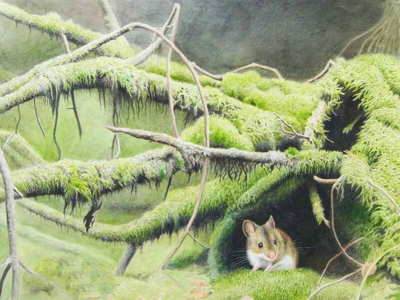 Mouse in Mossy Hollow