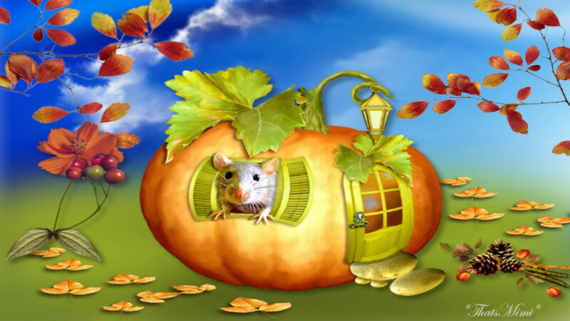 Mouse in Pumpkin House