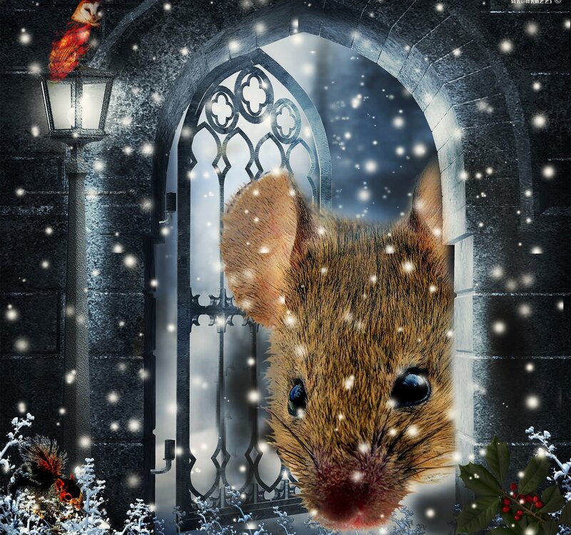 Mouse in Snowy Archway